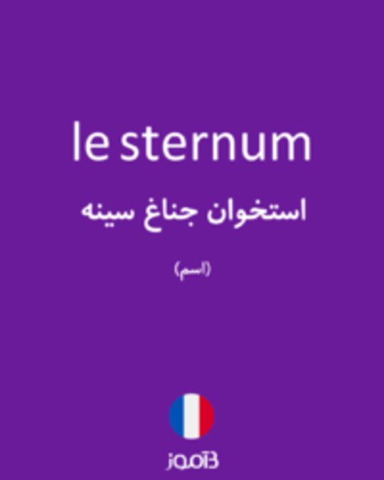  تصویر le sternum - دیکشنری انگلیسی بیاموز