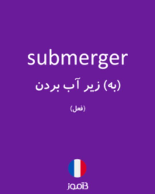  تصویر submerger - دیکشنری انگلیسی بیاموز