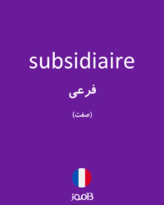  تصویر subsidiaire - دیکشنری انگلیسی بیاموز