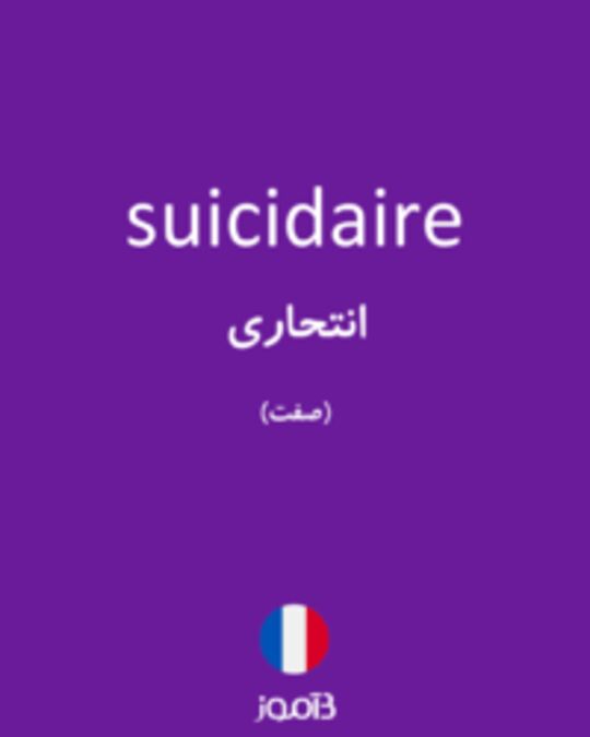  تصویر suicidaire - دیکشنری انگلیسی بیاموز