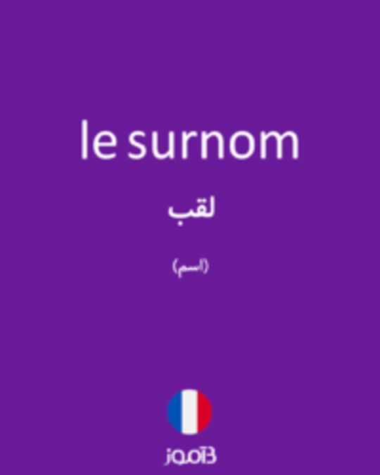  تصویر le surnom - دیکشنری انگلیسی بیاموز