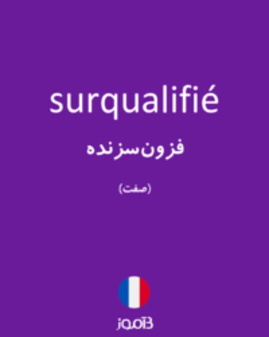  تصویر surqualifié - دیکشنری انگلیسی بیاموز