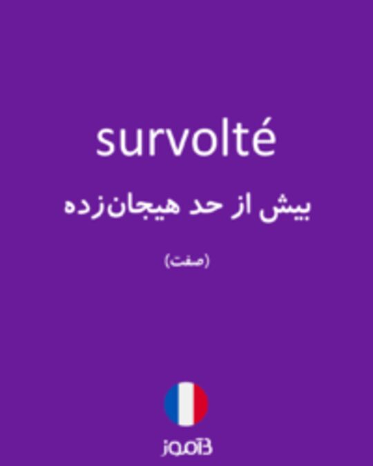  تصویر survolté - دیکشنری انگلیسی بیاموز