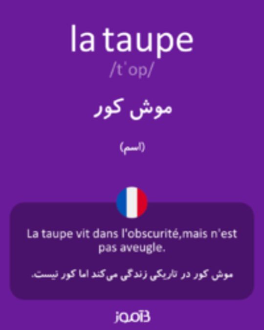  تصویر la taupe - دیکشنری انگلیسی بیاموز