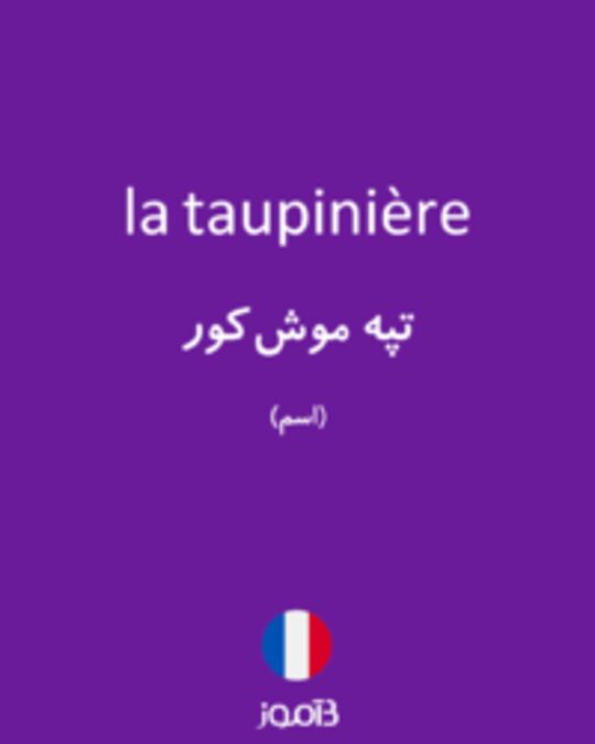  تصویر la taupinière - دیکشنری انگلیسی بیاموز
