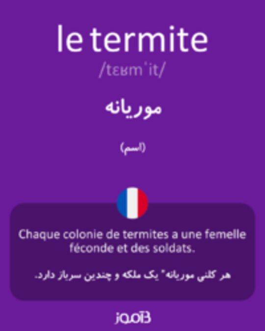  تصویر le termite - دیکشنری انگلیسی بیاموز