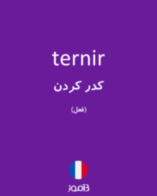  تصویر ternir - دیکشنری انگلیسی بیاموز