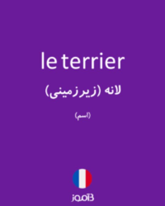  تصویر le terrier - دیکشنری انگلیسی بیاموز