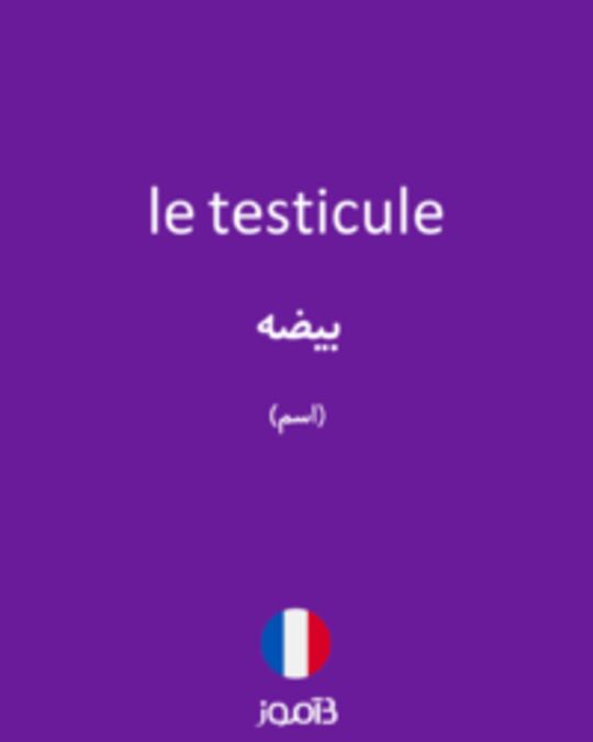  تصویر le testicule - دیکشنری انگلیسی بیاموز