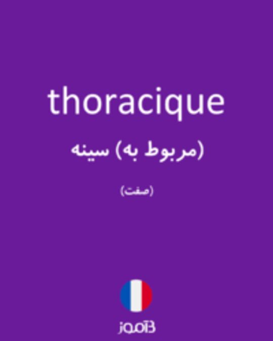  تصویر thoracique - دیکشنری انگلیسی بیاموز