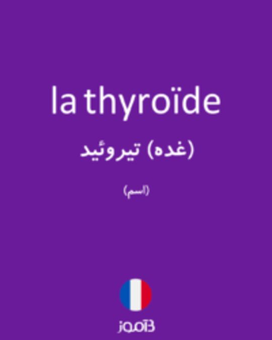 تصویر la thyroïde - دیکشنری انگلیسی بیاموز