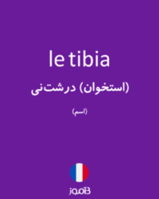  تصویر le tibia - دیکشنری انگلیسی بیاموز