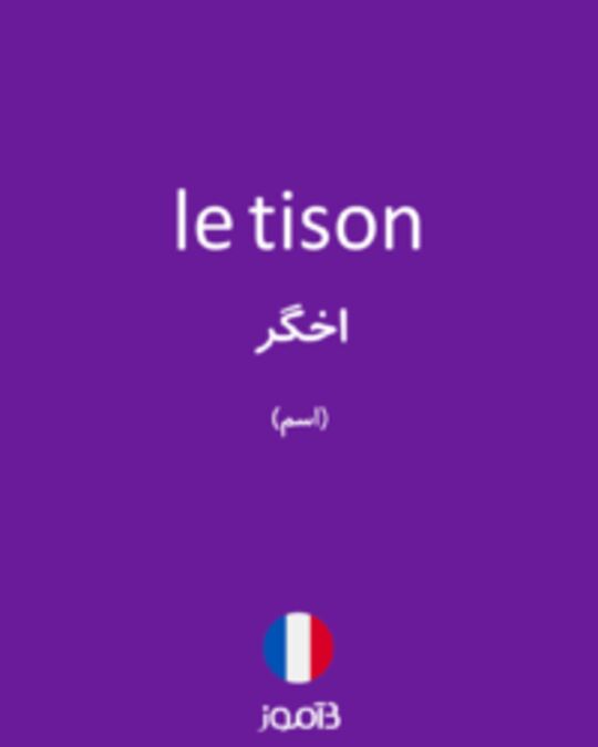  تصویر le tison - دیکشنری انگلیسی بیاموز