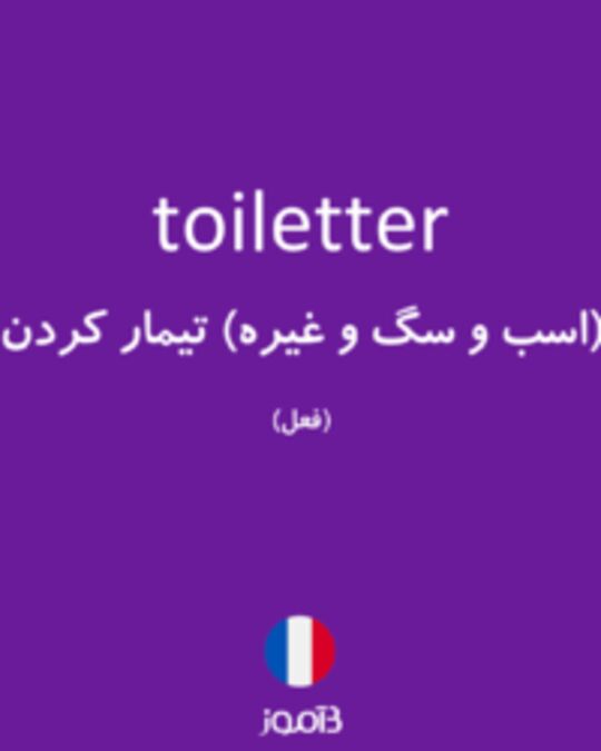  تصویر toiletter - دیکشنری انگلیسی بیاموز