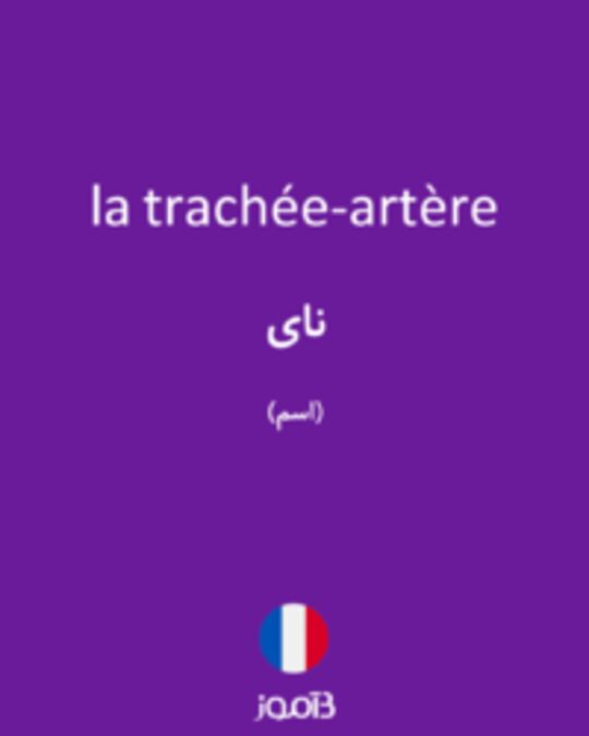  تصویر la trachée-artère - دیکشنری انگلیسی بیاموز