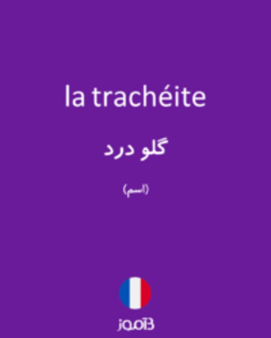  تصویر la trachéite - دیکشنری انگلیسی بیاموز