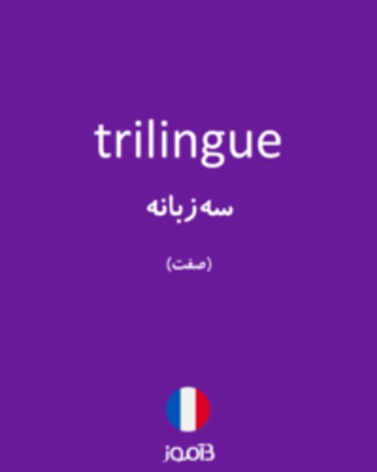  تصویر trilingue - دیکشنری انگلیسی بیاموز