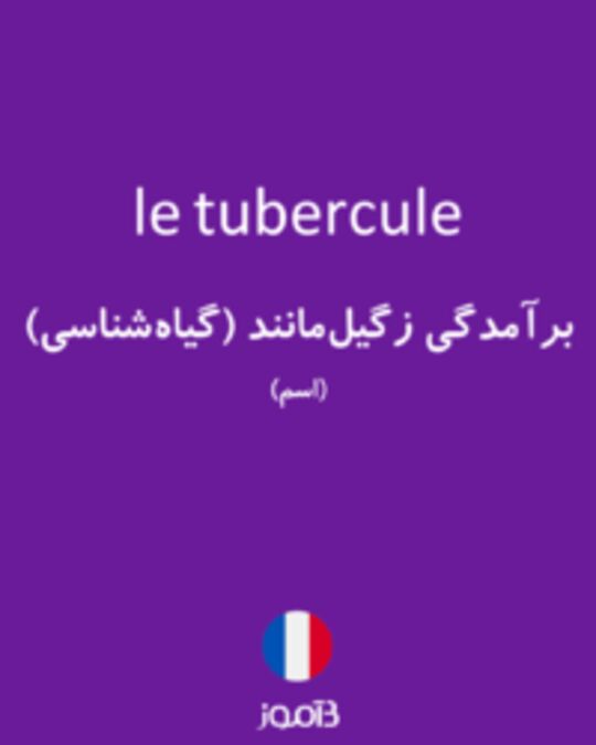 تصویر le tubercule - دیکشنری انگلیسی بیاموز