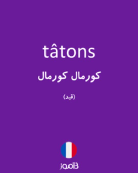  تصویر tâtons - دیکشنری انگلیسی بیاموز