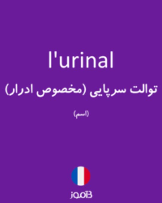  تصویر l'urinal - دیکشنری انگلیسی بیاموز