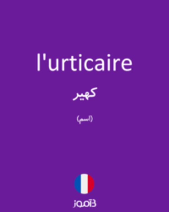  تصویر l'urticaire - دیکشنری انگلیسی بیاموز