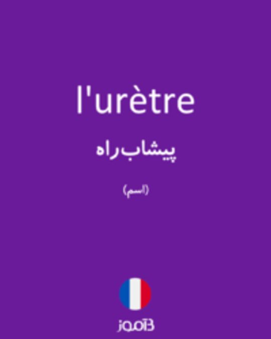  تصویر l'urètre - دیکشنری انگلیسی بیاموز