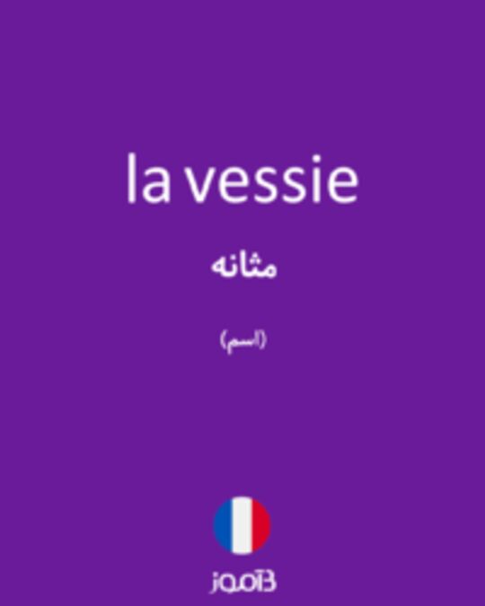  تصویر la vessie - دیکشنری انگلیسی بیاموز