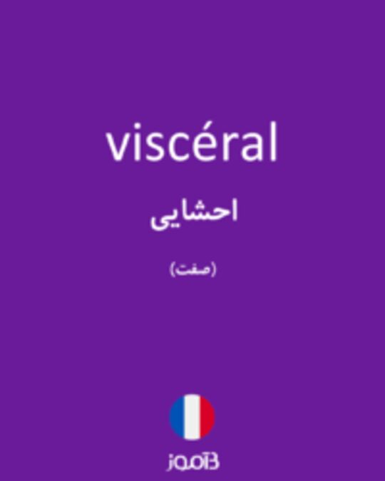  تصویر viscéral - دیکشنری انگلیسی بیاموز