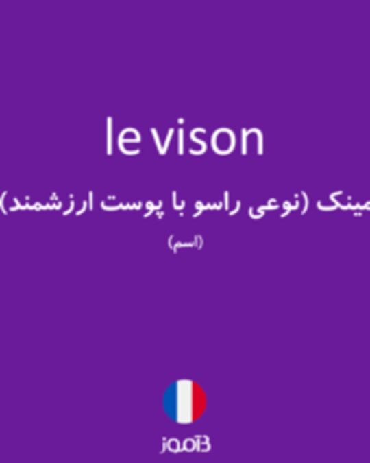  تصویر le vison - دیکشنری انگلیسی بیاموز