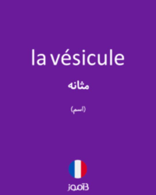  تصویر la vésicule - دیکشنری انگلیسی بیاموز