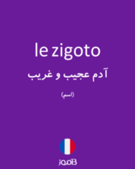  تصویر le zigoto - دیکشنری انگلیسی بیاموز