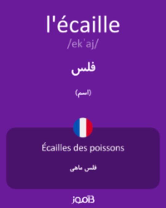  تصویر l'écaille - دیکشنری انگلیسی بیاموز