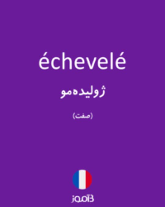  تصویر échevelé - دیکشنری انگلیسی بیاموز