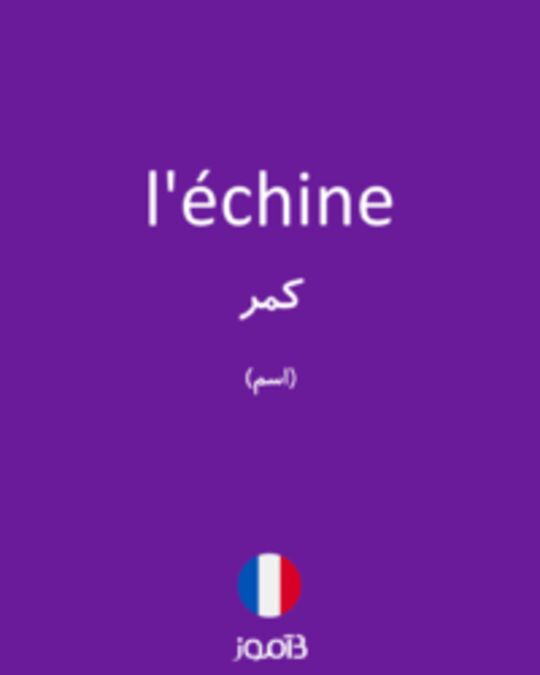  تصویر l'échine - دیکشنری انگلیسی بیاموز