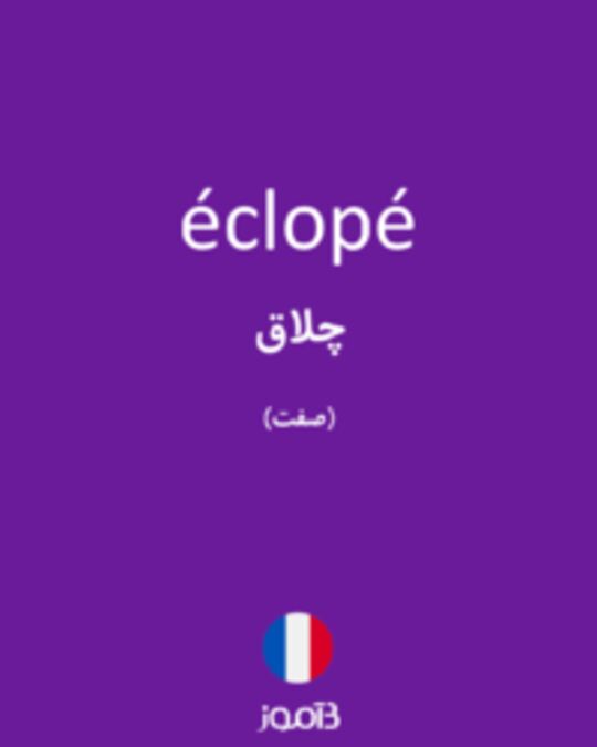  تصویر éclopé - دیکشنری انگلیسی بیاموز