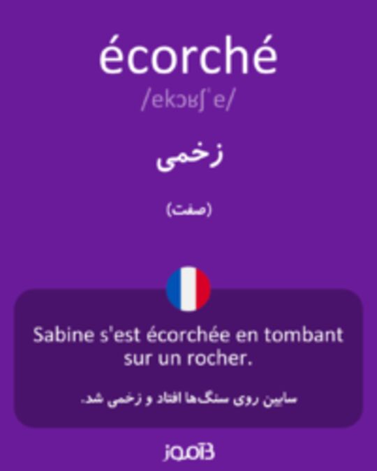  تصویر écorché - دیکشنری انگلیسی بیاموز