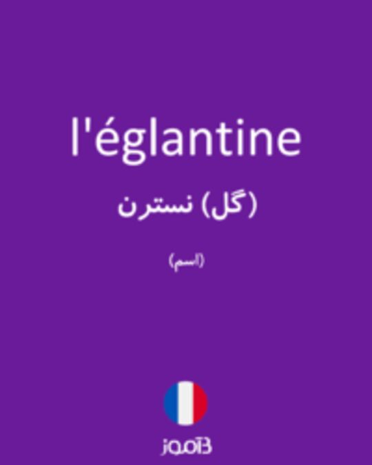  تصویر l'églantine - دیکشنری انگلیسی بیاموز