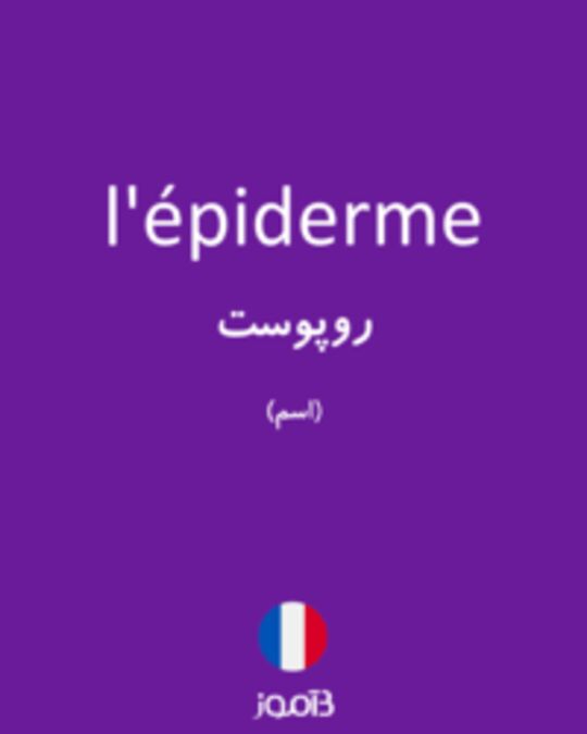  تصویر l'épiderme - دیکشنری انگلیسی بیاموز