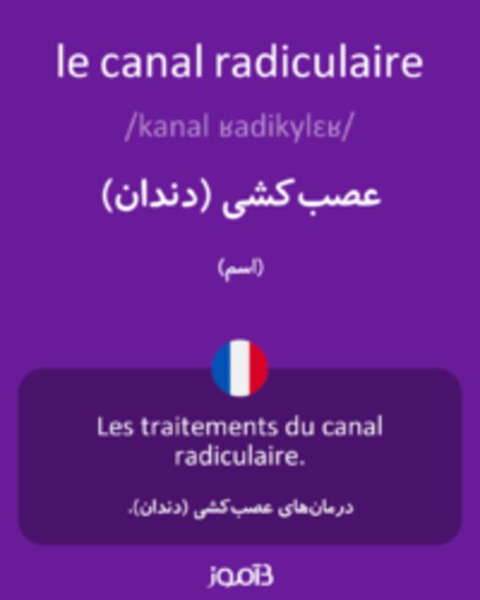  تصویر le canal radiculaire - دیکشنری انگلیسی بیاموز