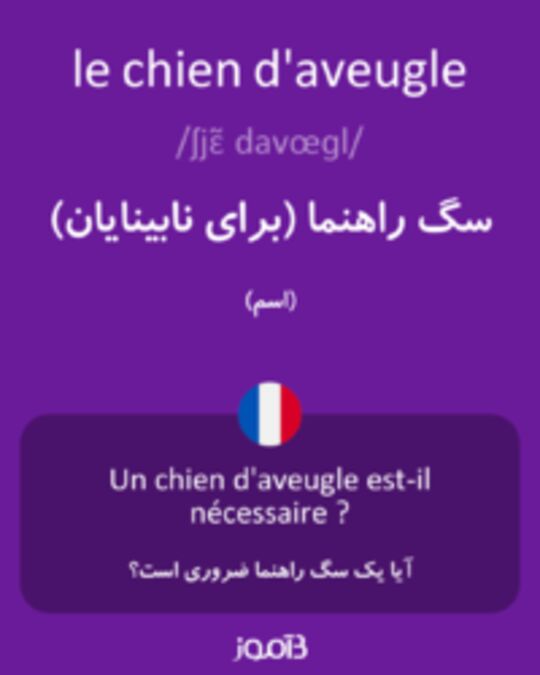  تصویر le chien d'aveugle - دیکشنری انگلیسی بیاموز