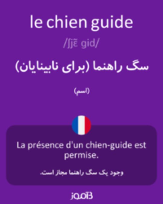  تصویر le chien guide - دیکشنری انگلیسی بیاموز