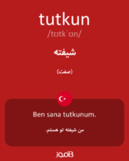  تصویر tutkun - دیکشنری انگلیسی بیاموز