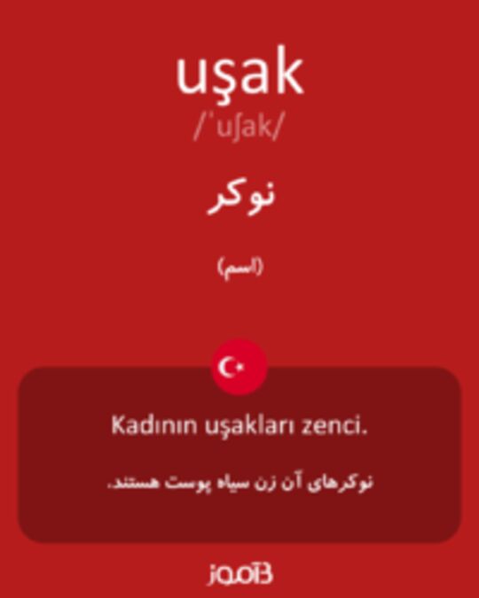  تصویر uşak - دیکشنری انگلیسی بیاموز