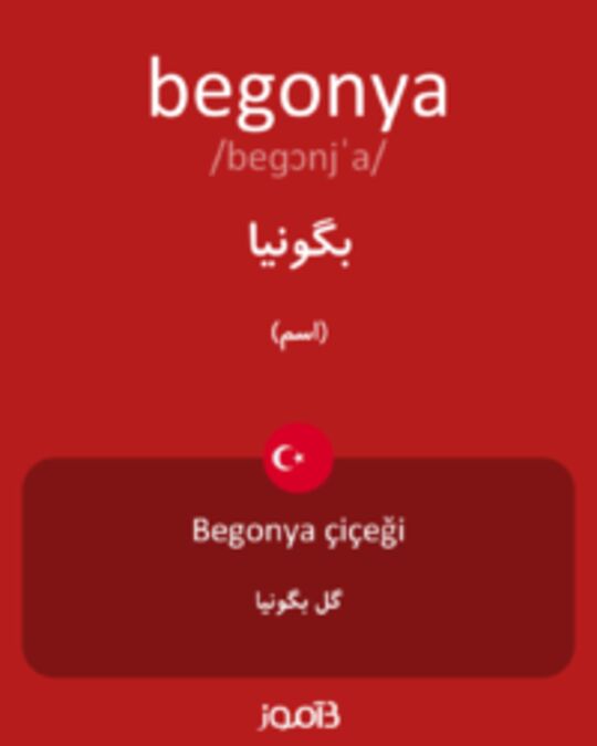  تصویر begonya - دیکشنری انگلیسی بیاموز