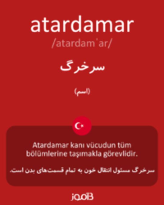  تصویر atardamar - دیکشنری انگلیسی بیاموز