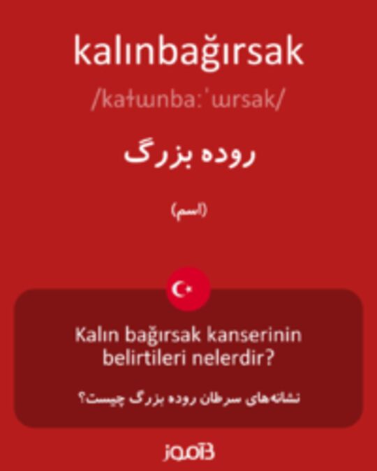  تصویر kalınbağırsak - دیکشنری انگلیسی بیاموز