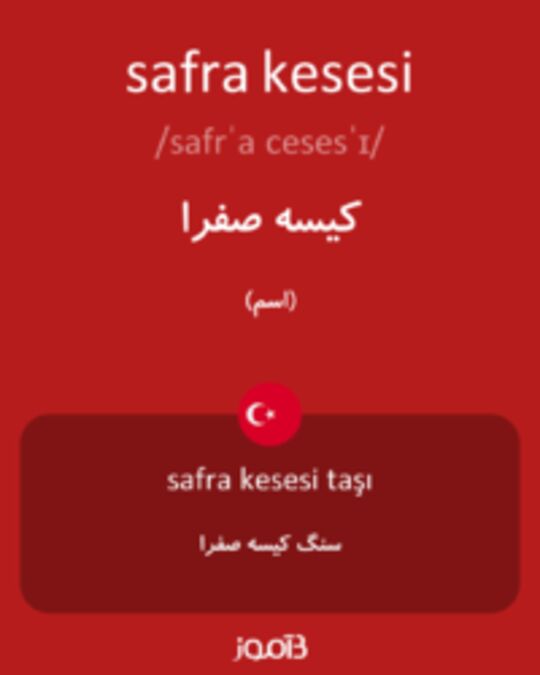  تصویر safra kesesi - دیکشنری انگلیسی بیاموز