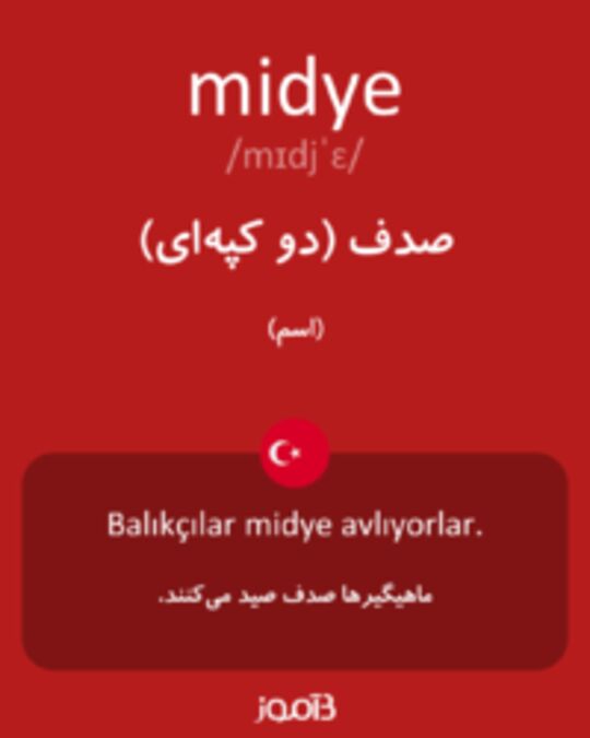  تصویر midye - دیکشنری انگلیسی بیاموز