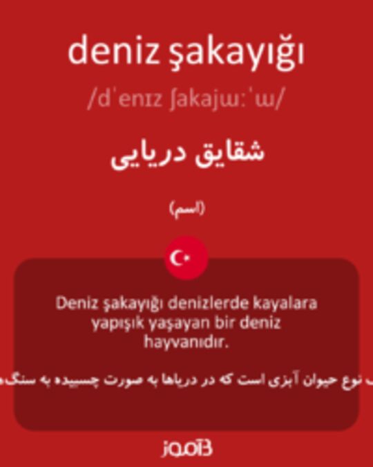  تصویر deniz şakayığı - دیکشنری انگلیسی بیاموز