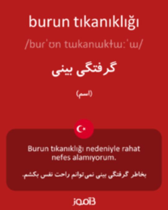  تصویر burun tıkanıklığı - دیکشنری انگلیسی بیاموز